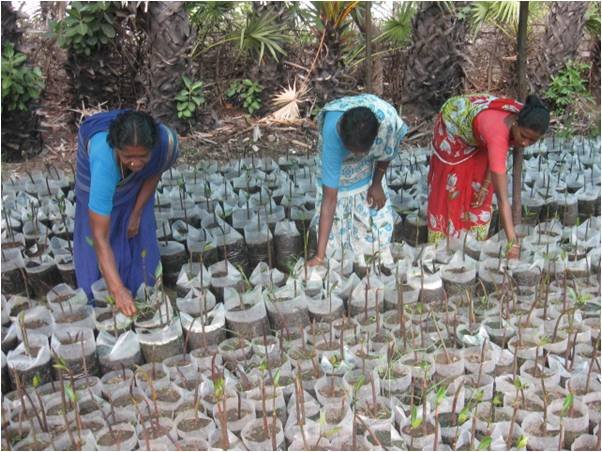 Livelihood work